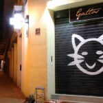 Cierre metálico con graffiti profesional.